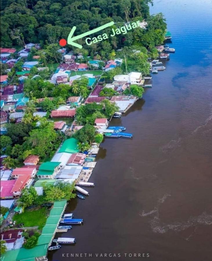 Casa Jaguar Villa Tortuguero Exterior foto