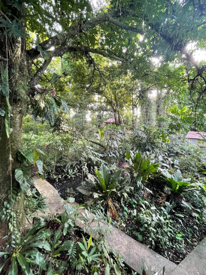 Casa Jaguar Villa Tortuguero Exterior foto